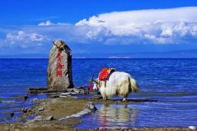 青海湖自驾游路线攻略