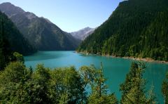 鼓浪屿旅游跟拍（厦门鼓浪屿值得去吗）