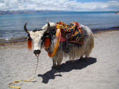 西藏旅游攻略之装备和心态_西藏旅游的一些小知识