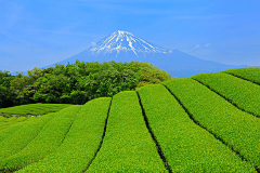 黄果树瀑布旅游（7-8月份适合去贵州安顺黄果树瀑布景区玩吗要注意些什么）