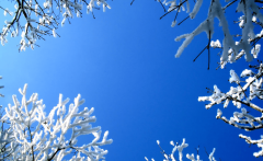 杭州湾海上花田景区（绍兴、杭州，苏州有哪些好玩的景点和好吃的东西）