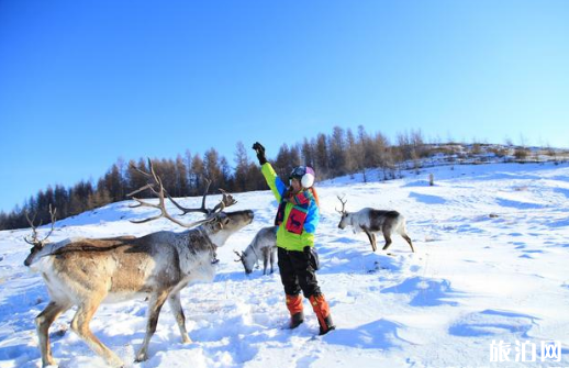 长江中下游降雪有哪些城市2018 下雪去哪里玩