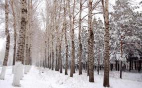 2018年哈尔滨国庆下雪吗 哈尔滨什么时候开始下雪
