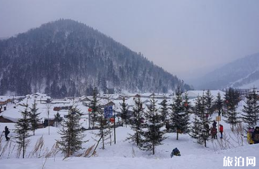 2018年哈尔滨国庆下雪吗 哈尔滨什么时候开始下雪