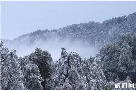 广东下雪了吗2018年12月 连州潭岭天湖怎么去+收费吗+看雪好不好