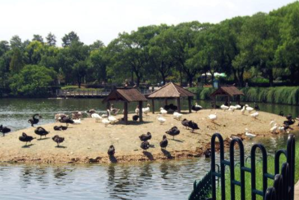 武汉动物园宣布22日恢复开放