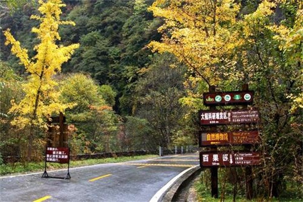 神农架七大景区特色-十元神龙架旅游年卡在哪里买