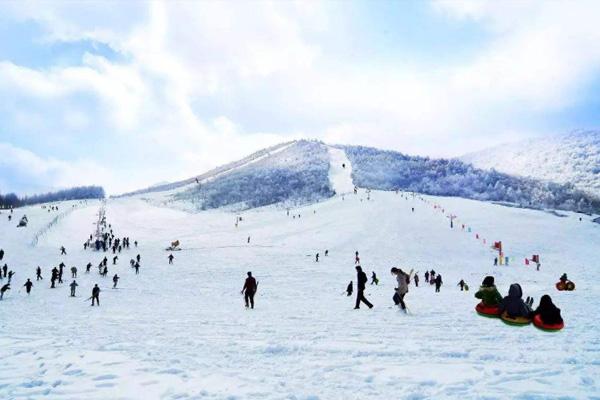 2020神农架四大滑雪场开放时间