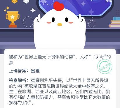 被称为世界上最无所畏惧的动物人称平头哥的是