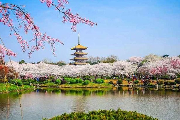 2021武汉东湖樱园免费门票预约规则流程