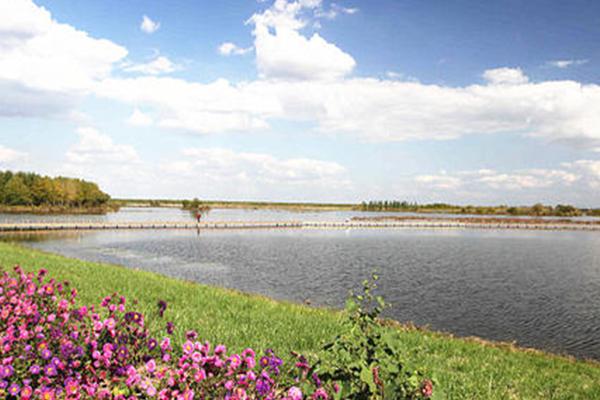 辽河盘锦湿地公园简介-湿地公园旅游攻略