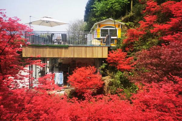 四川有哪些观赏红叶的地方_四川5月哪里有枫叶