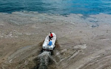 海鼻涕有什么危害_土耳其海鼻涕是什么东西