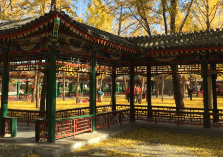 北京中山公园端午节开放时间及关门时间