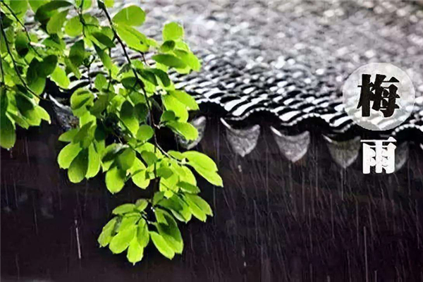 2021梅雨季节什么时间出梅_梅雨季节一般持续多久