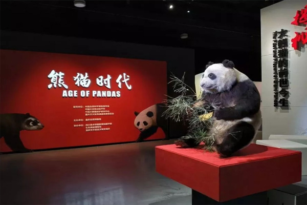成都大熊猫博物馆在哪里及里面有什么