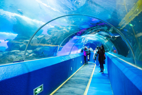 青岛海底世界有几个场馆及交通指引
