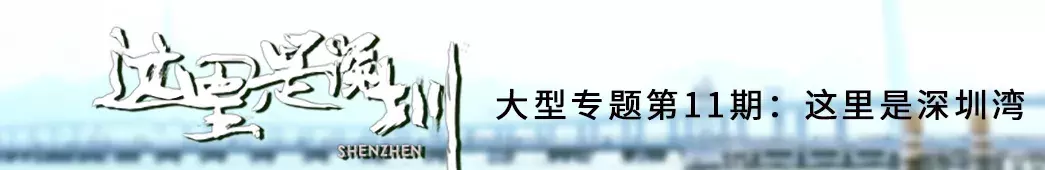 深圳湾公园在哪里（深圳湾公园在哪里）