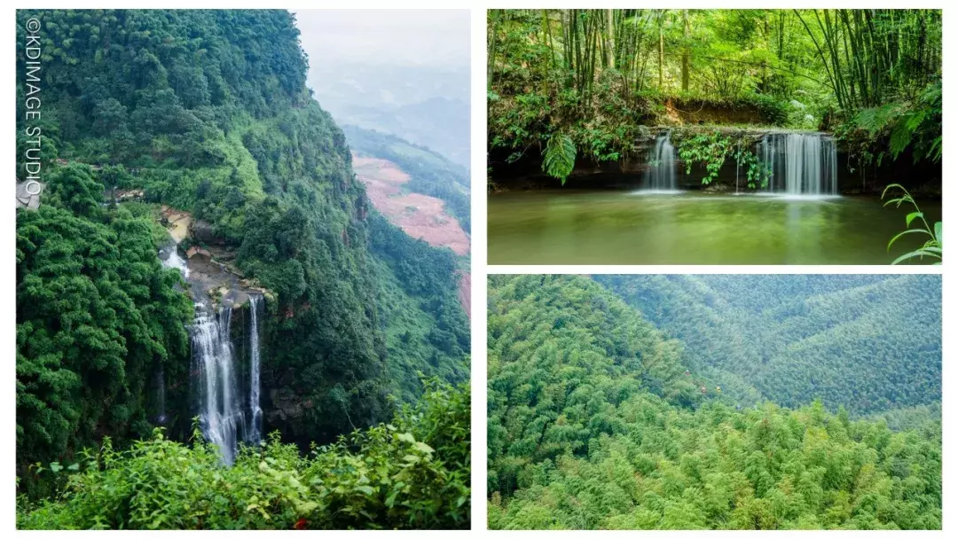 蜀南竹海旅游（蜀南竹海旅游景点）