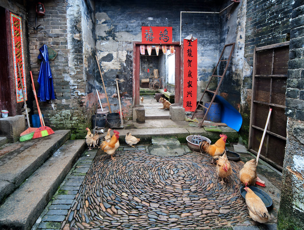 传统的客家围屋。   视觉中国 图