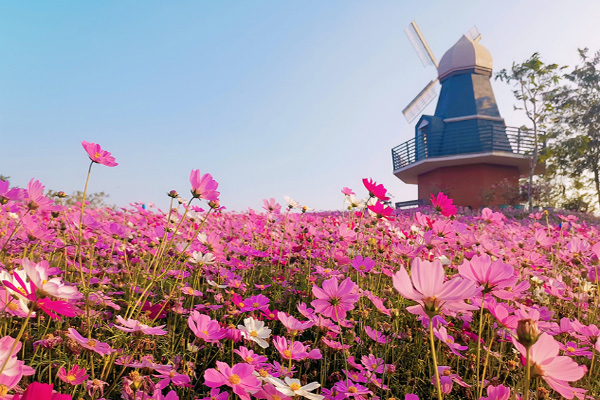 海南海花岛旅游攻略自由行 海花岛好玩吗