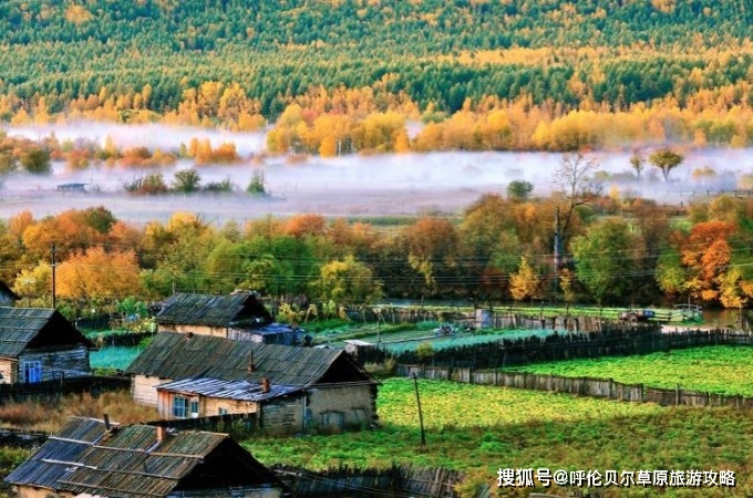 大兴安岭太平屯最美油画般金色秋季美景