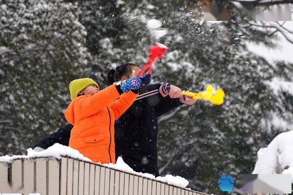 郑州连日降雪秒变“雪地游乐场”市民玩嗨了