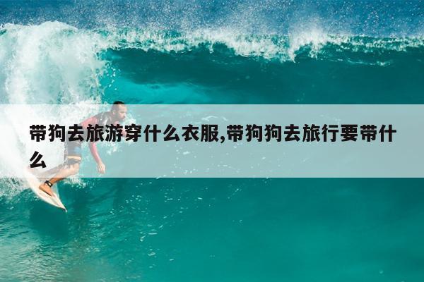 带狗去旅游穿什么衣服,带狗狗去旅行要带什么