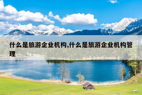 什么是旅游企业机构,什么是旅游企业机构管理