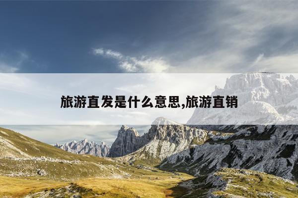 旅游直发是什么意思,旅游直销