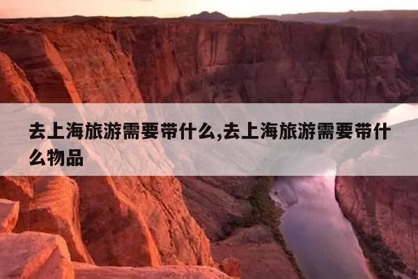 去上海旅游需要带什么,去上海旅游需要带什么物品