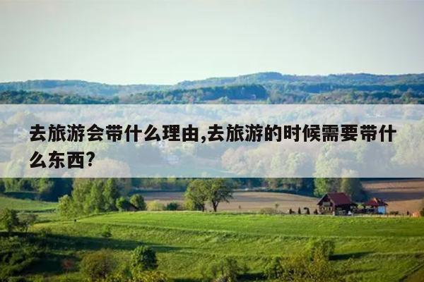 去旅游会带什么理由,去旅游的时候需要带什么东西?