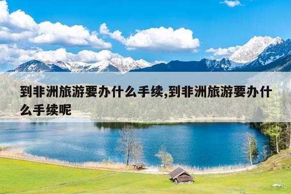 到非洲旅游要办什么手续,到非洲旅游要办什么手续呢