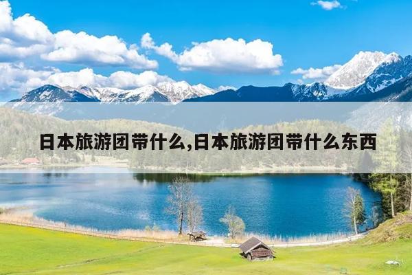 日本旅游团带什么,日本旅游团带什么东西