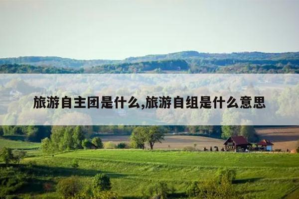 旅游自主团是什么,旅游自组是什么意思