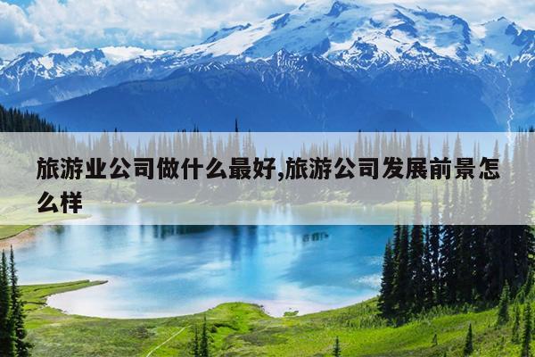 旅游业公司做什么最好,旅游公司发展前景怎么样