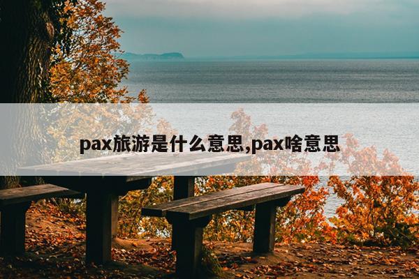 pax旅游是什么意思,pax啥意思