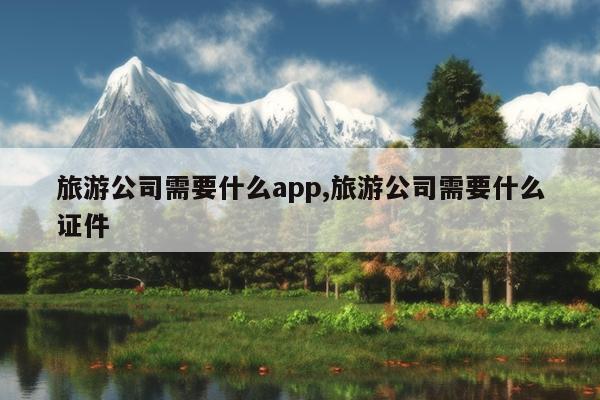 旅游公司需要什么app,旅游公司需要什么证件