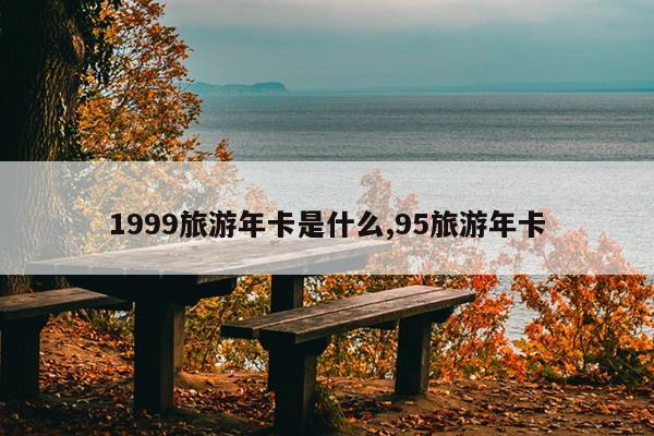 1999旅游年卡是什么,95旅游年卡