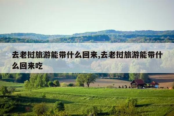 去老挝旅游能带什么回来,去老挝旅游能带什么回来吃